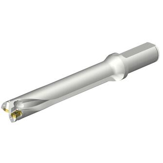 Sandvik DS20-D2500L25-06 kääntöteräpora