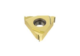 Seco 16ER1.25ISO-A CP500 2kpl